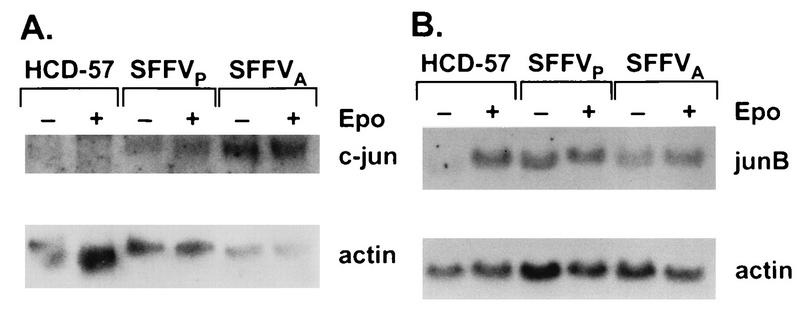 FIG. 6