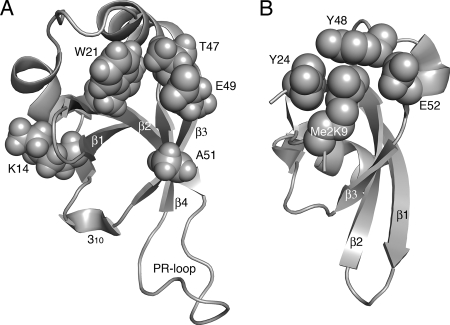 FIG. 9.