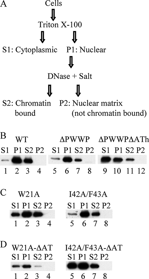 FIG. 6.