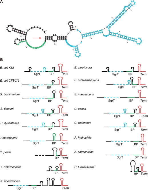 Figure 3.