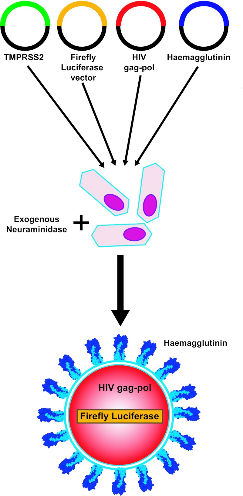 Figure 2.