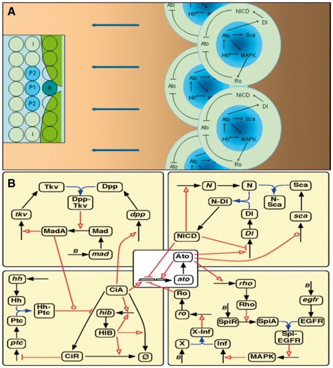 Fig. 1.