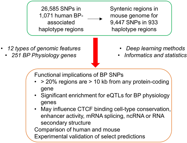 graphic file with name nihms-1549057-f0001.jpg