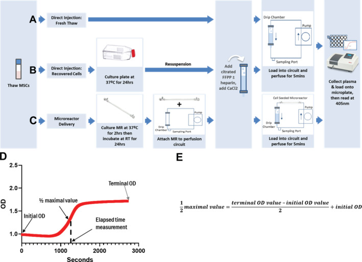 FIGURE 1