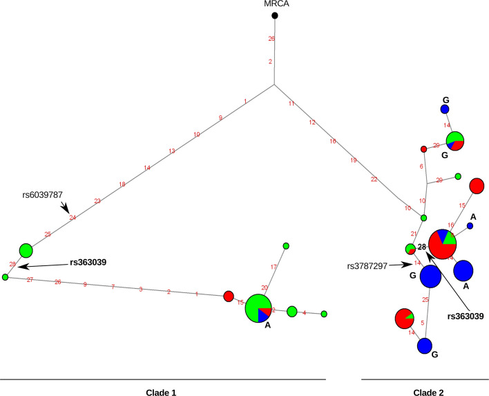 Fig. 2