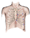 Figure 5: