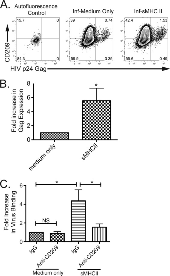 FIG 8