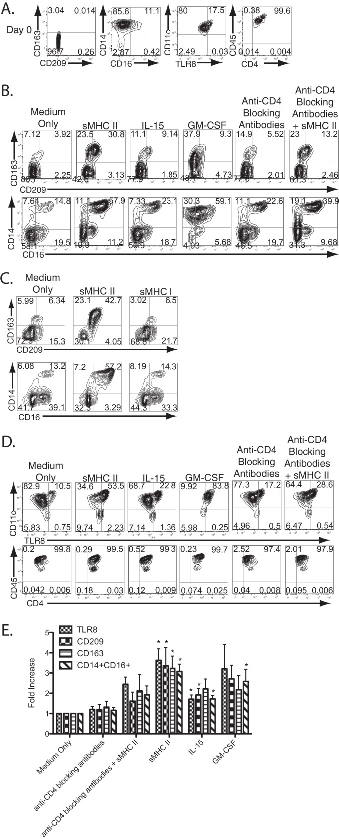 FIG 1