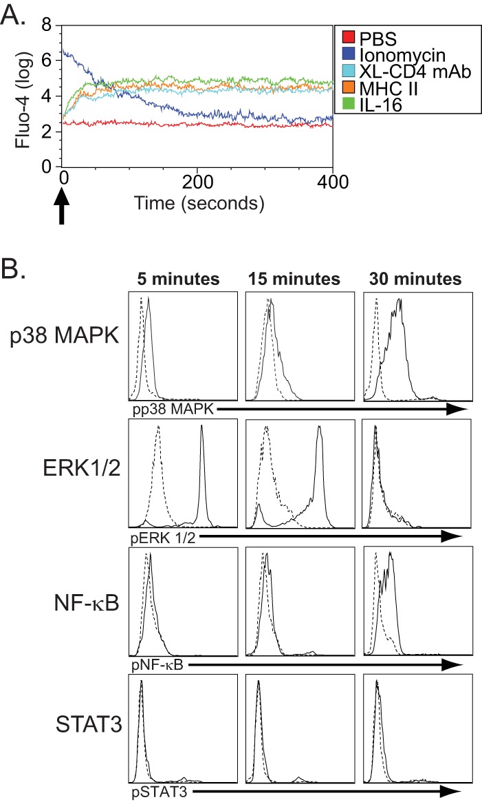 FIG 5