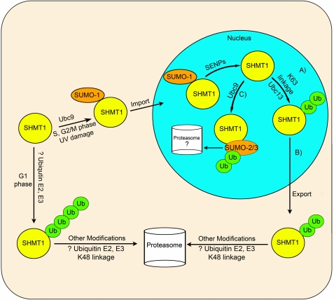 FIGURE 11.