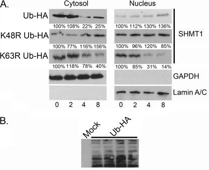 FIGURE 10.