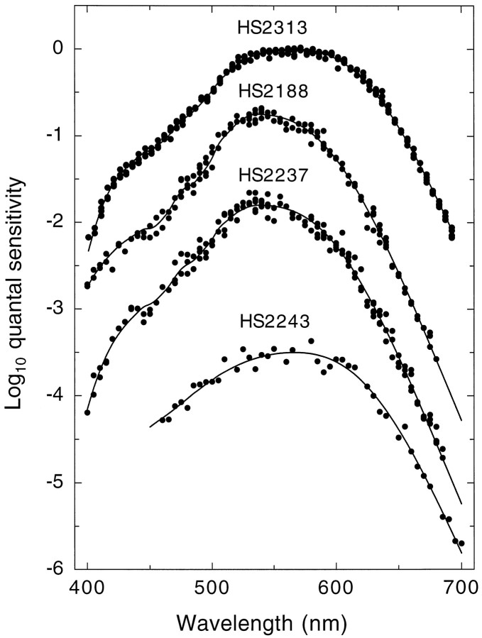 Fig. 6.