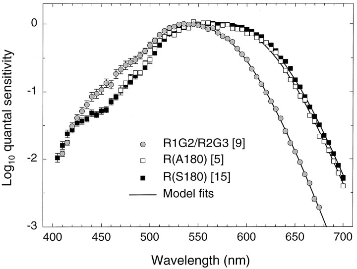 Fig. 10.