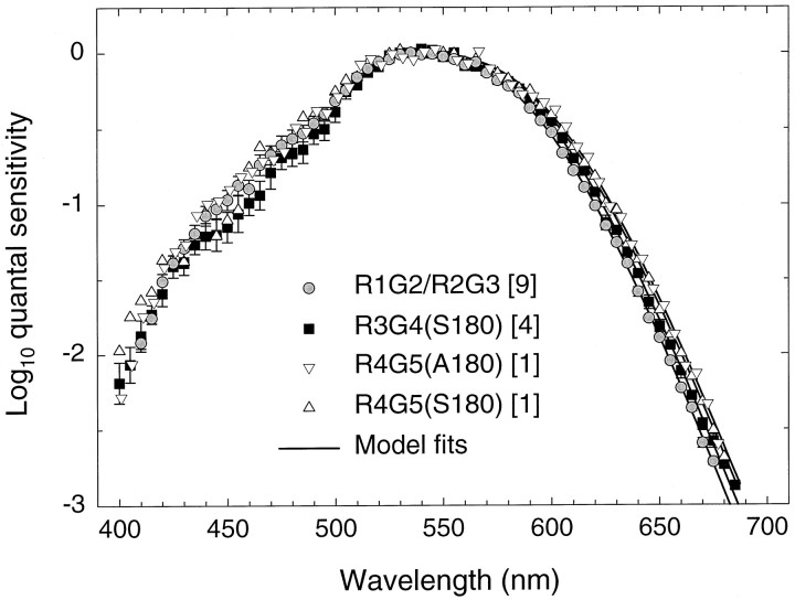 Fig. 11.