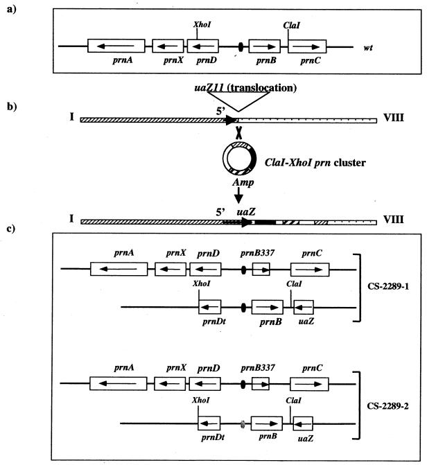 FIG. 1