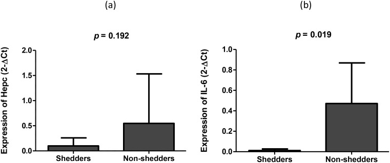 Figure 2