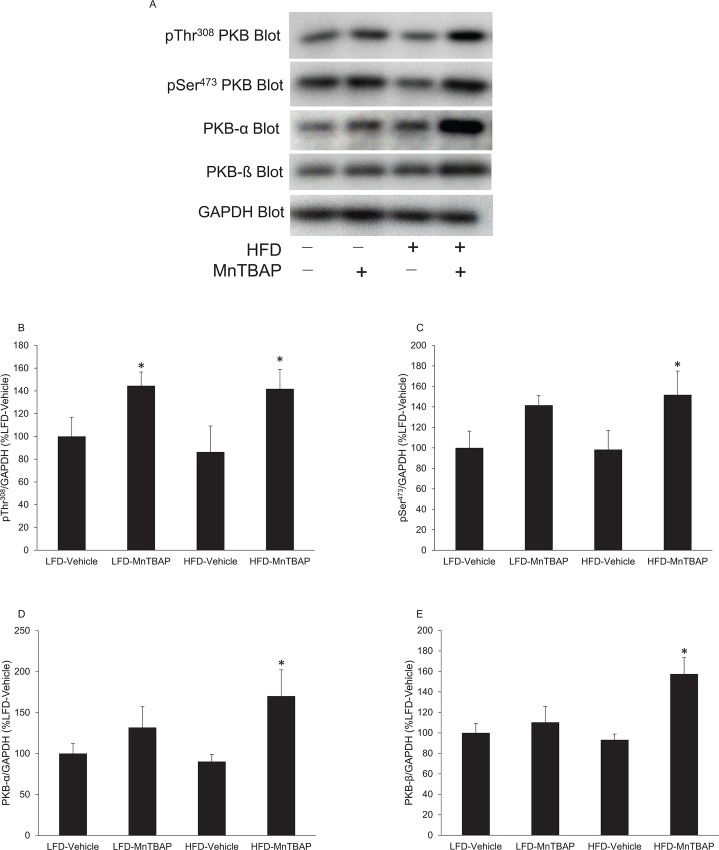 Fig 5