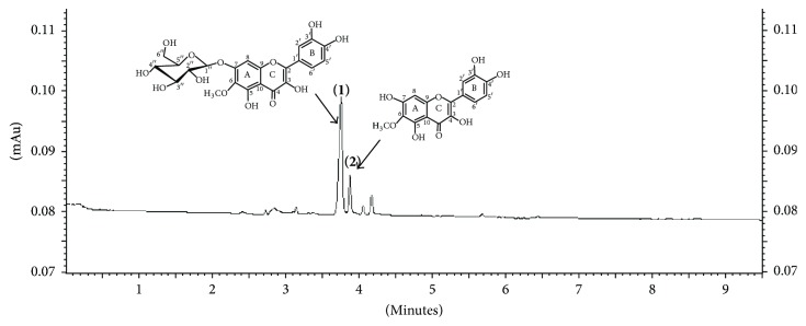 Figure 2