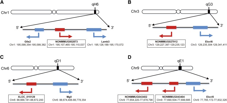 Fig. 4.