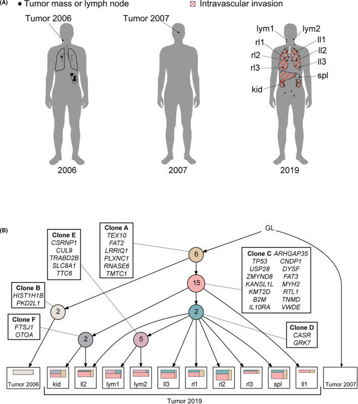 FIGURE 1