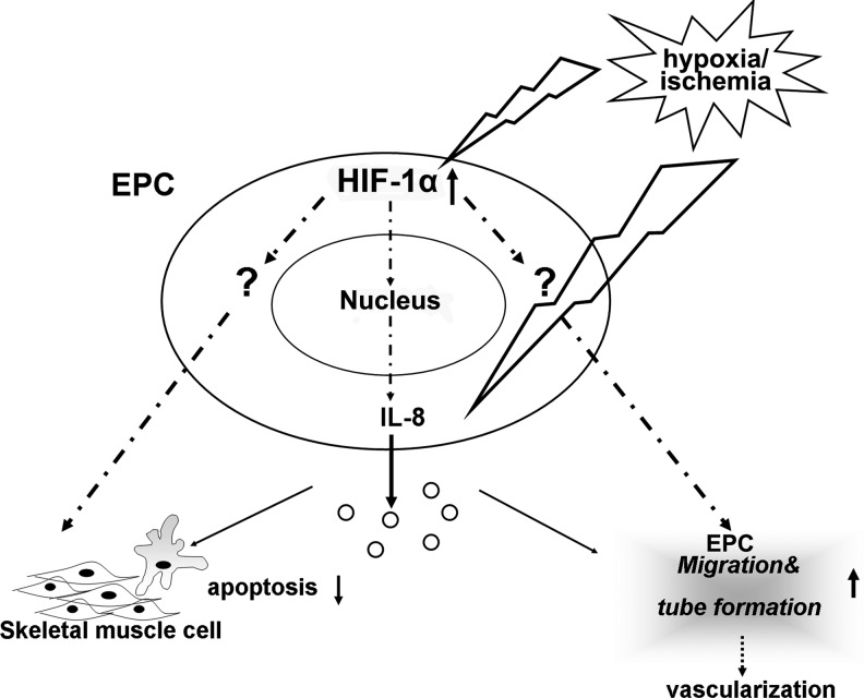 FIG. 7.