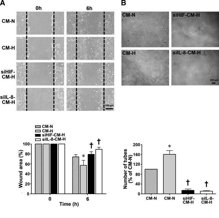 FIG. 6.