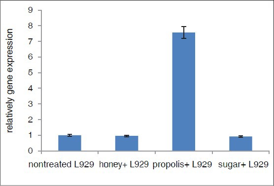 Figure 5