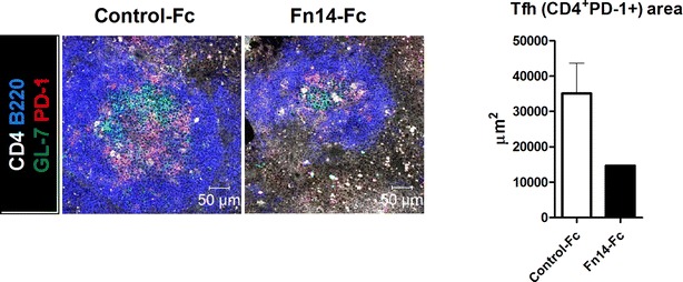 Fig. 4