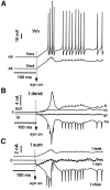 Fig. 5.