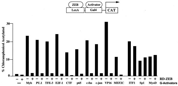 FIG. 1