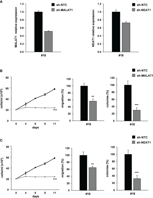 Figure 6