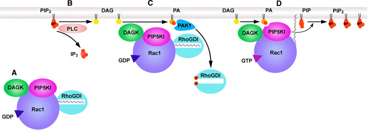 Fig. 3