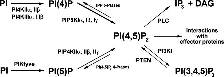 Fig. 1