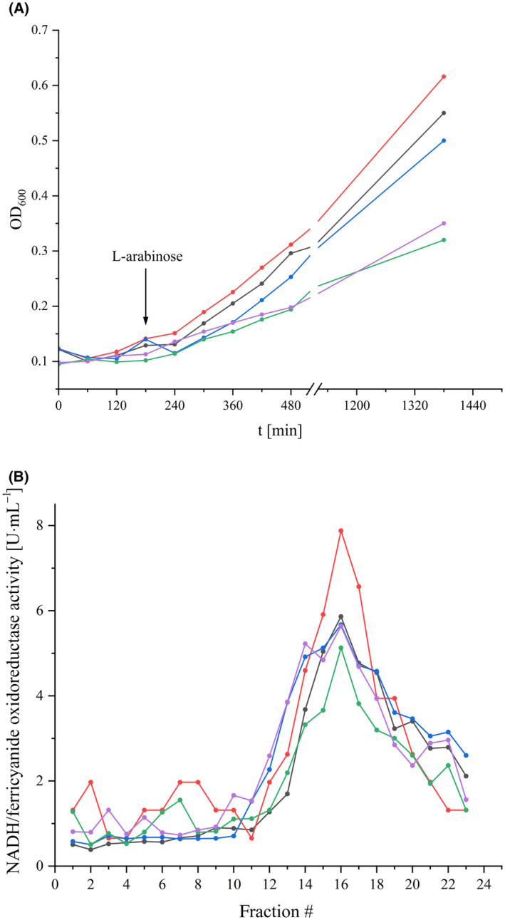 Fig. 2