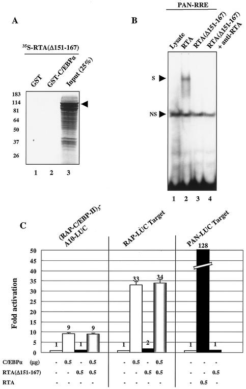 FIG. 12.