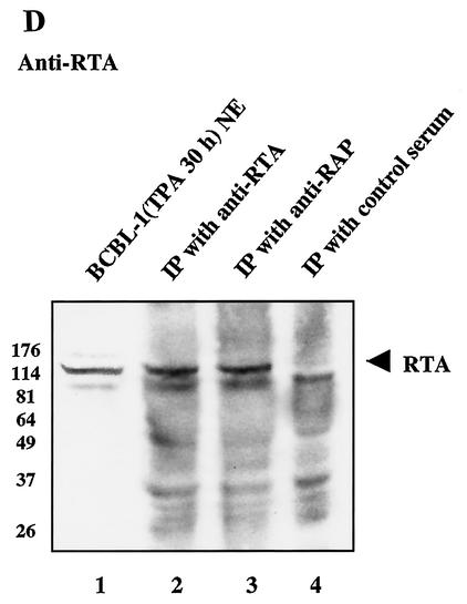 FIG. 13.