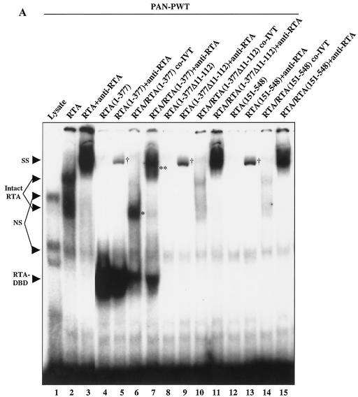 FIG. 11.