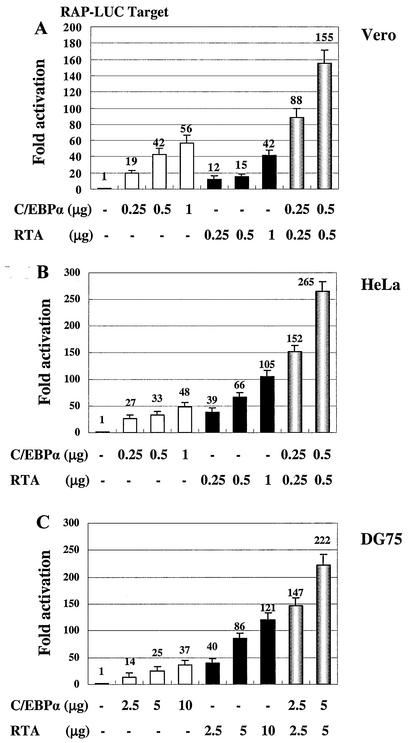 FIG. 1.