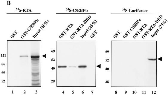 FIG. 8.