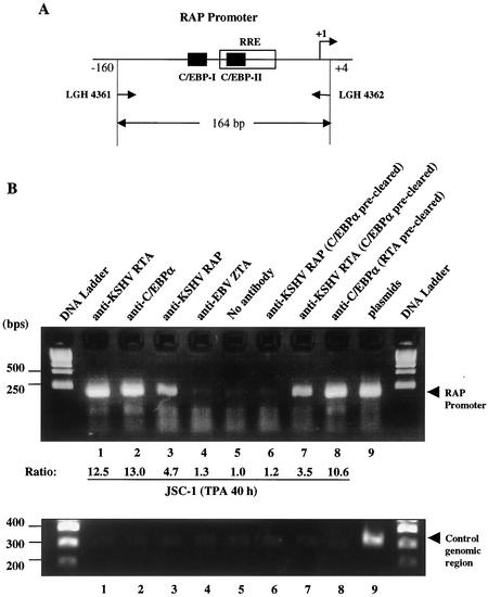 FIG. 5.