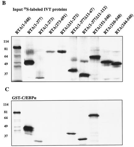 FIG. 9.