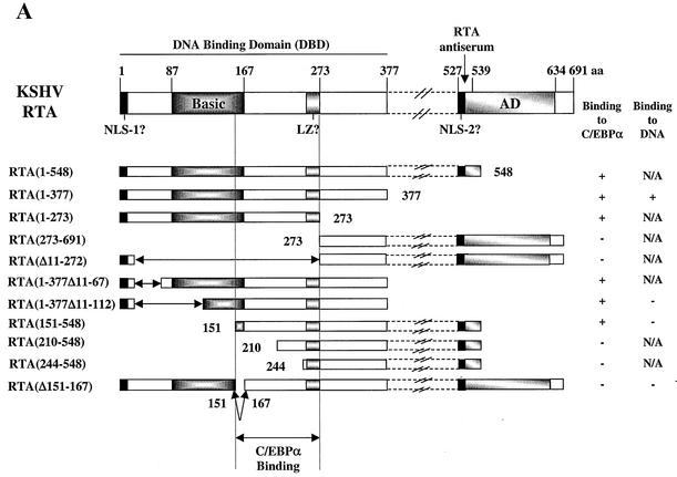 FIG. 9.