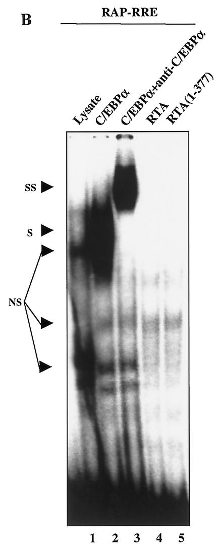 FIG. 11.