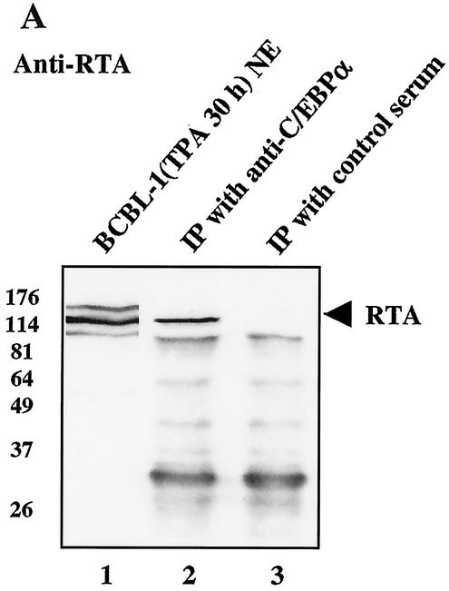 FIG. 8.