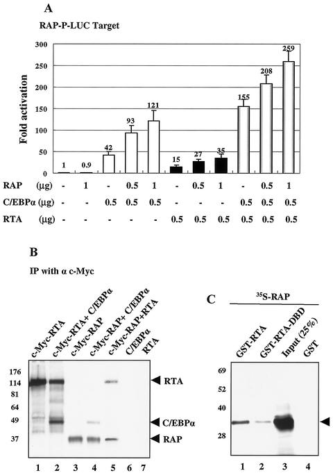 FIG. 13.