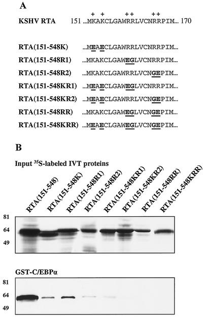 FIG. 10.