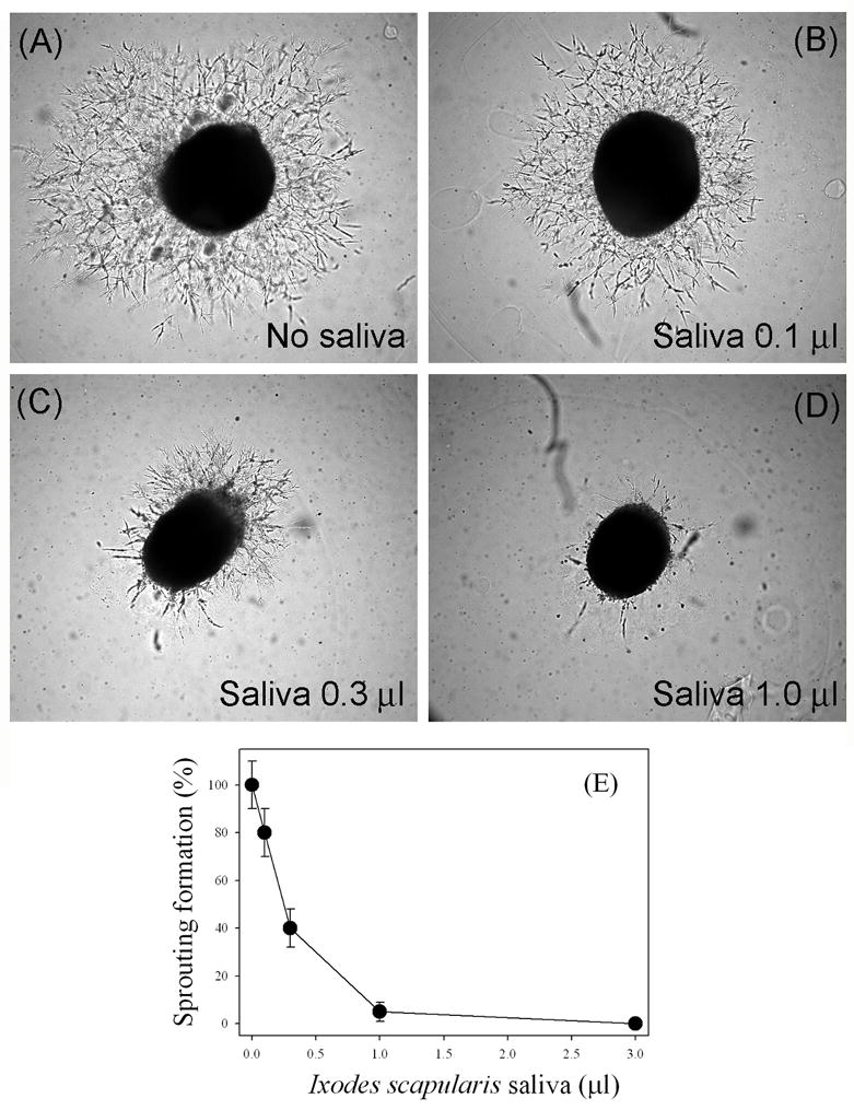 FIG. 6