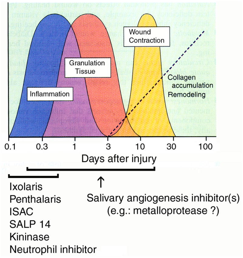 FIG. 7