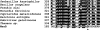 FIGURE 12.