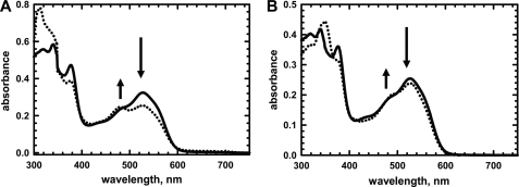 FIGURE 7.